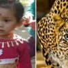 5 YEARS OLD GIRL DIED IN LEOPARD ATTACK AT NAINITAL (1)