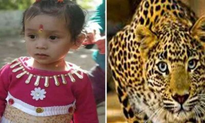 5 YEARS OLD GIRL DIED IN LEOPARD ATTACK AT NAINITAL (1)